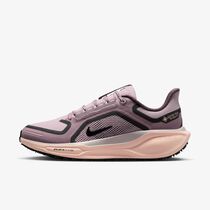 Nike Pegasus 41 GORE-TEX