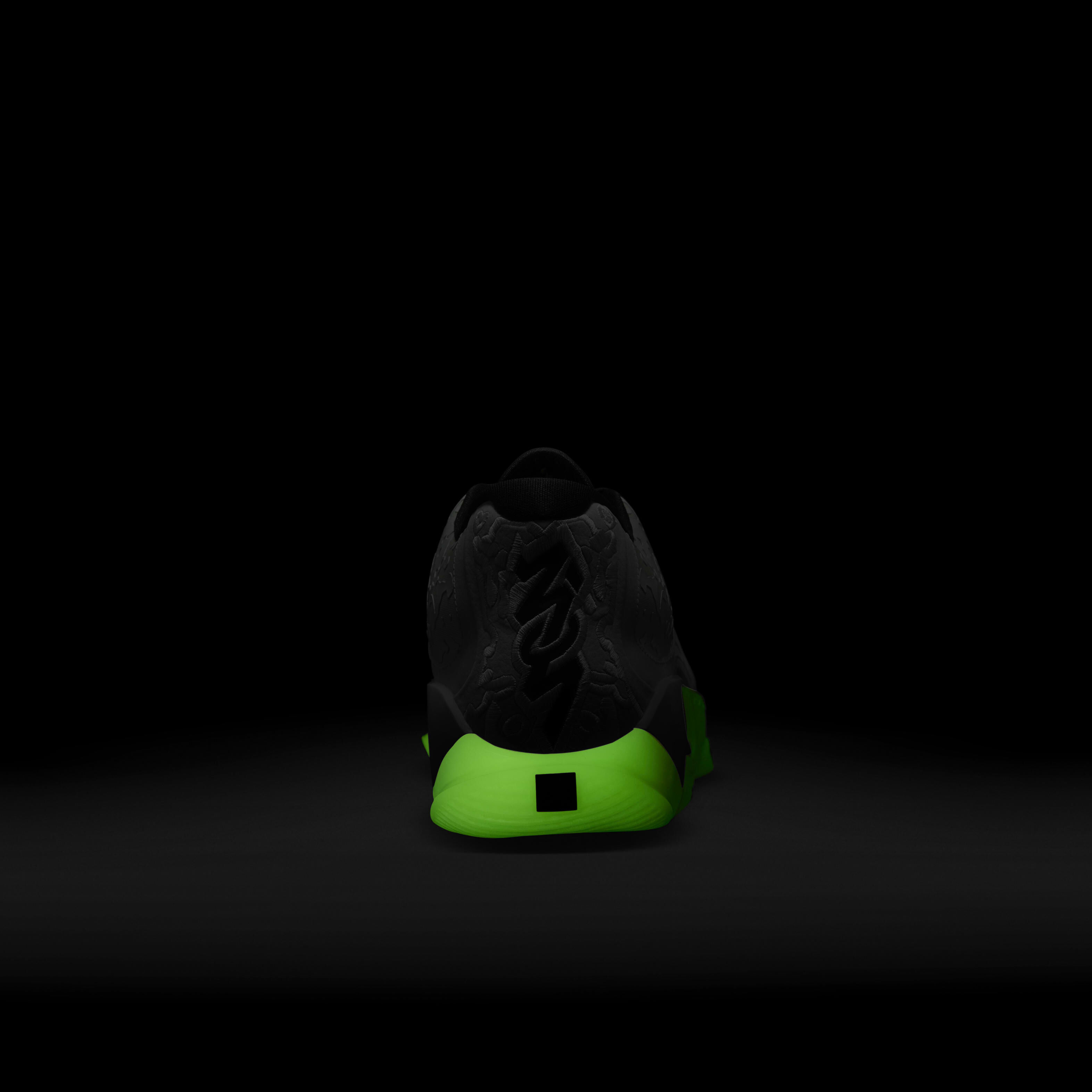 زايون 3 image number 8