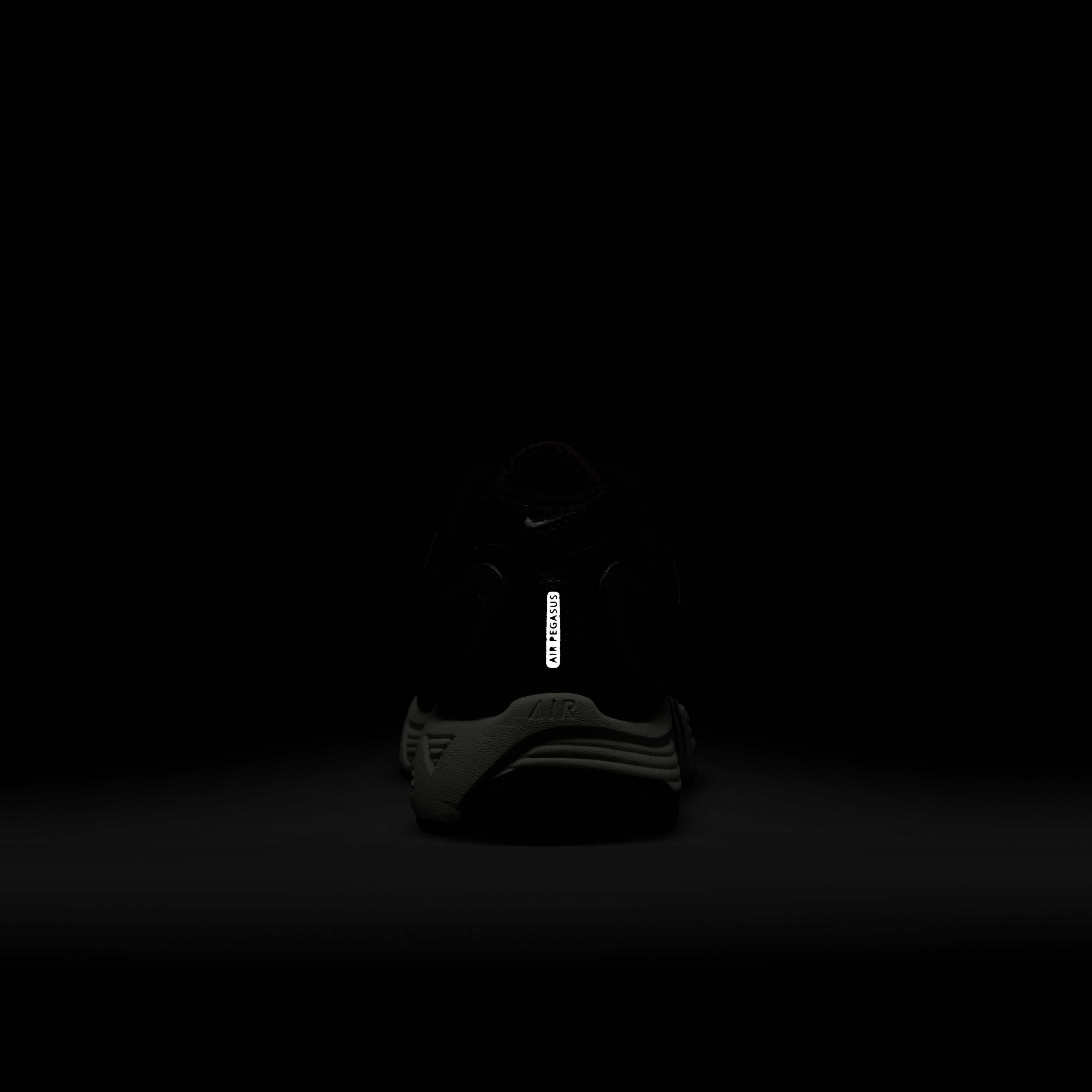 نايكي اير بيجاسوس 2005 image number 9