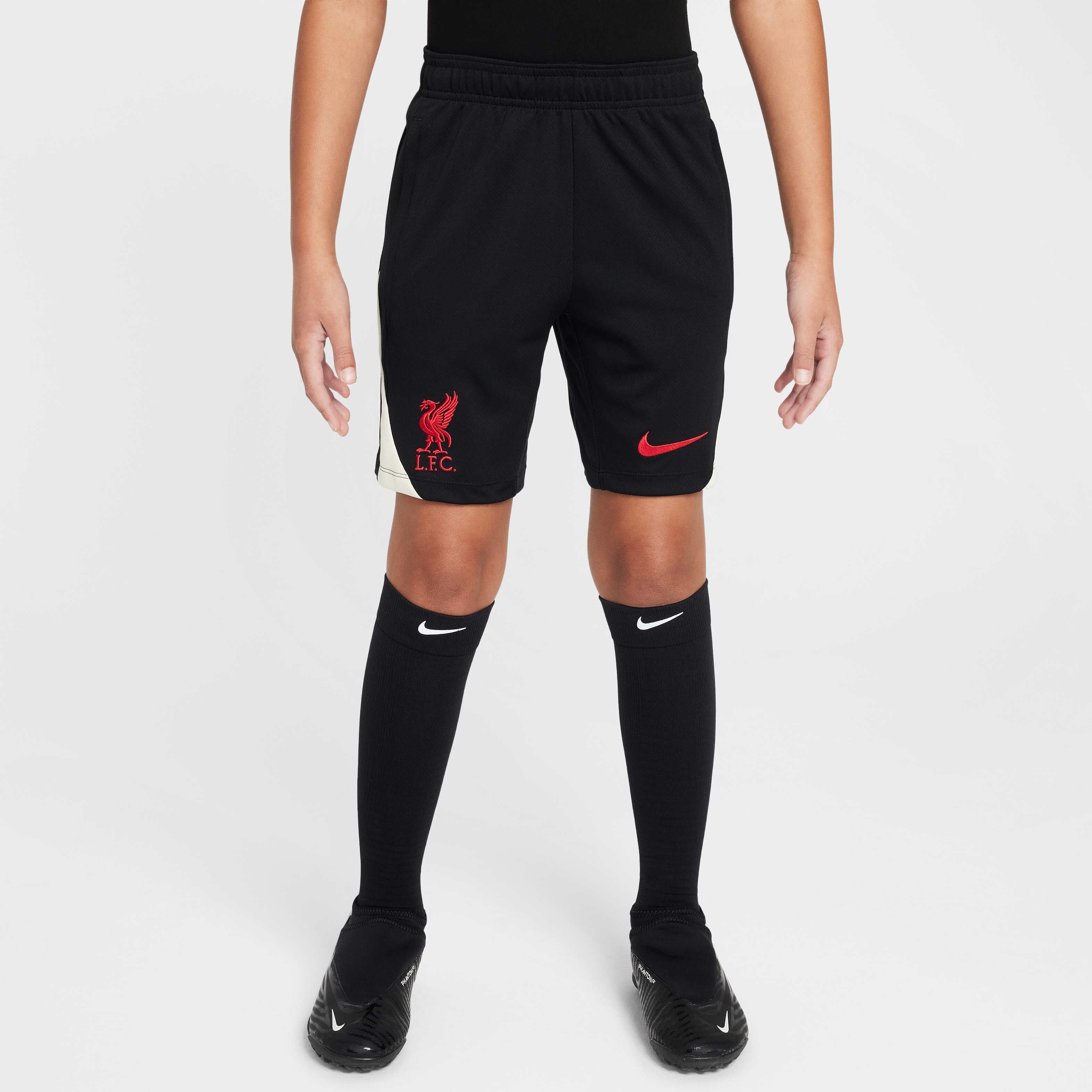 ウェア Nike Liverpool FC 20/21 Shorts Liverpool Football Shorts 2020/2021 Soccer Training Nike