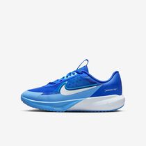 Nike Sonic Fly
