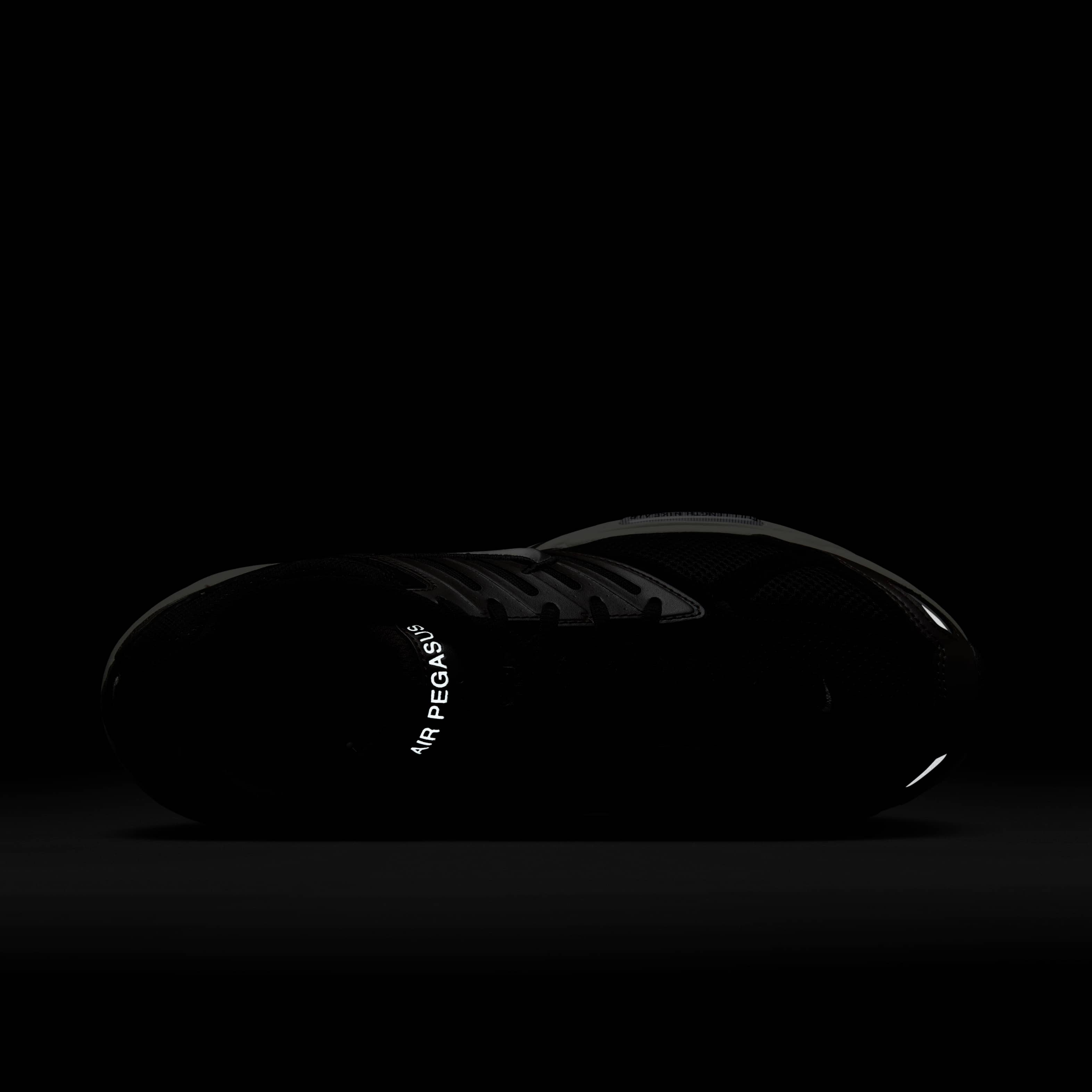 نايكي اير بيجاسوس 2005 image number 8