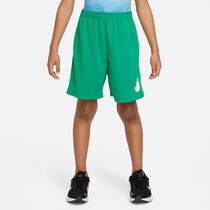 Nike "All Day Play" Dri-FIT Shorts