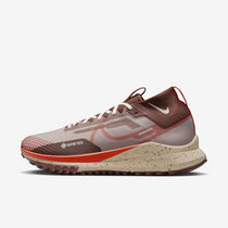 Nike Pegasus Trail 4 GORE-TEX