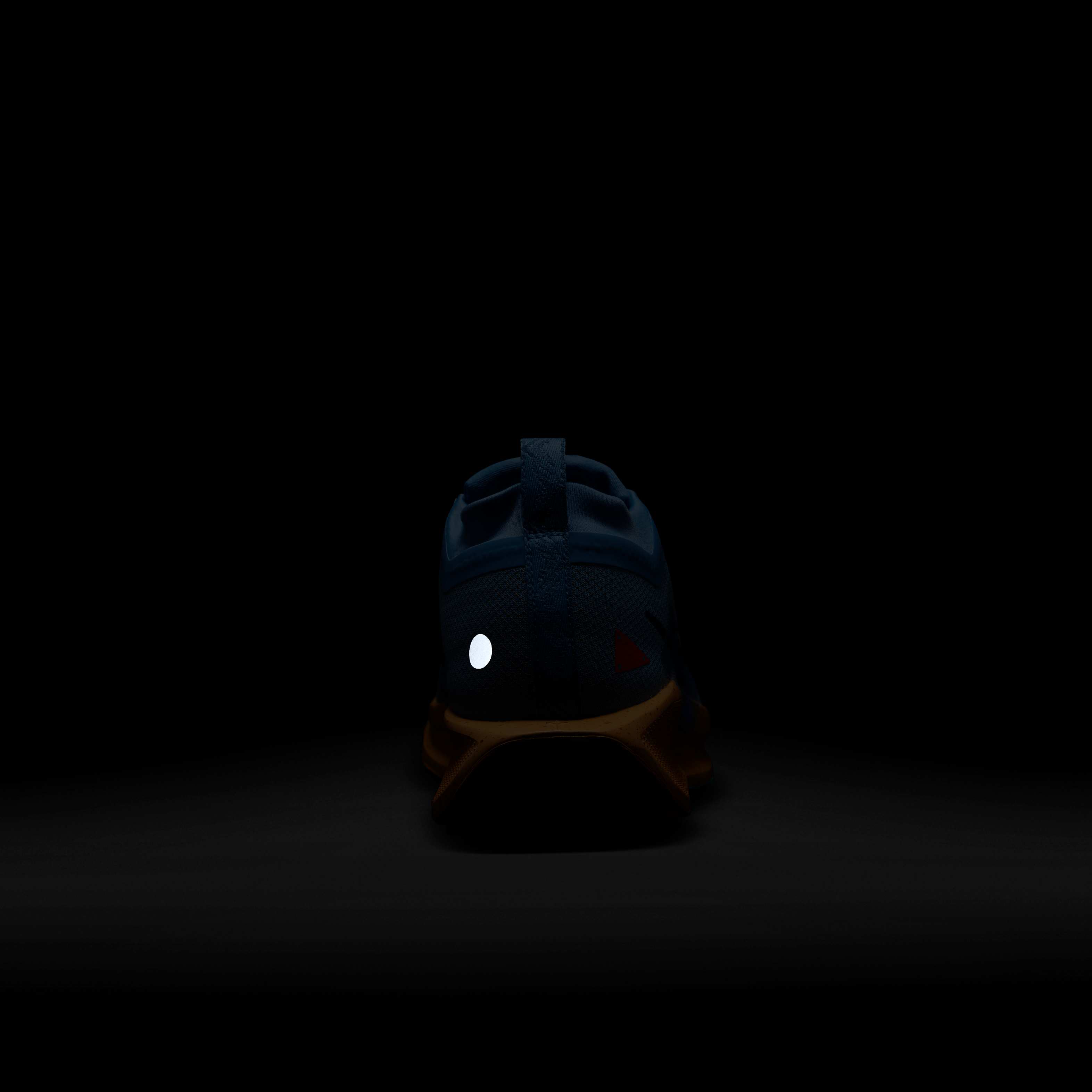 Nike Pegasus Trail 5 GORE-TEX image number 7