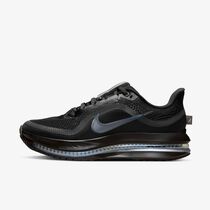 Nike Pegasus Premium