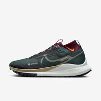 Nike Pegasus Trail 4 GORE-TEX