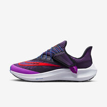 Nike Pegasus FlyEase