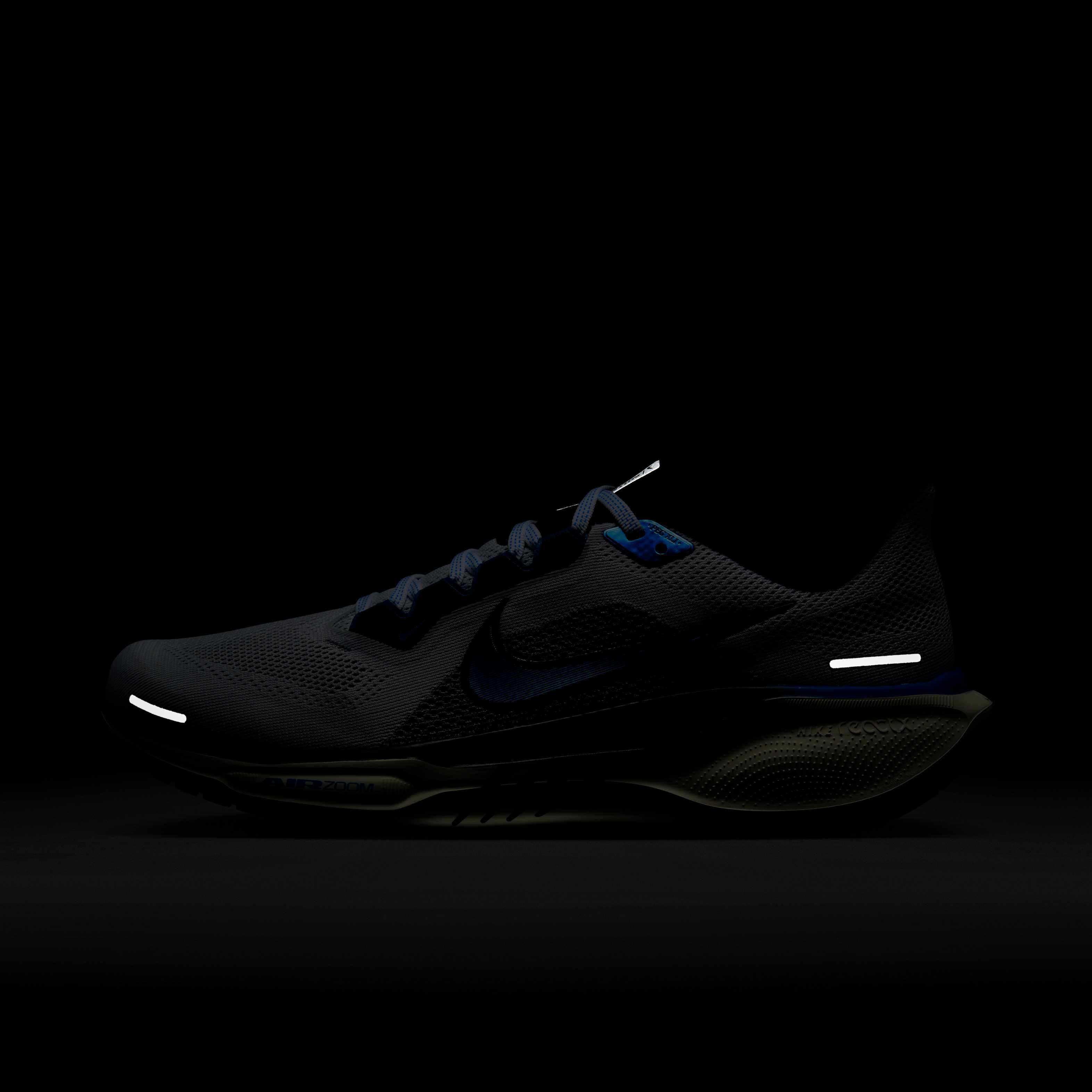 نايكي بيجاسوس 41 image number 10