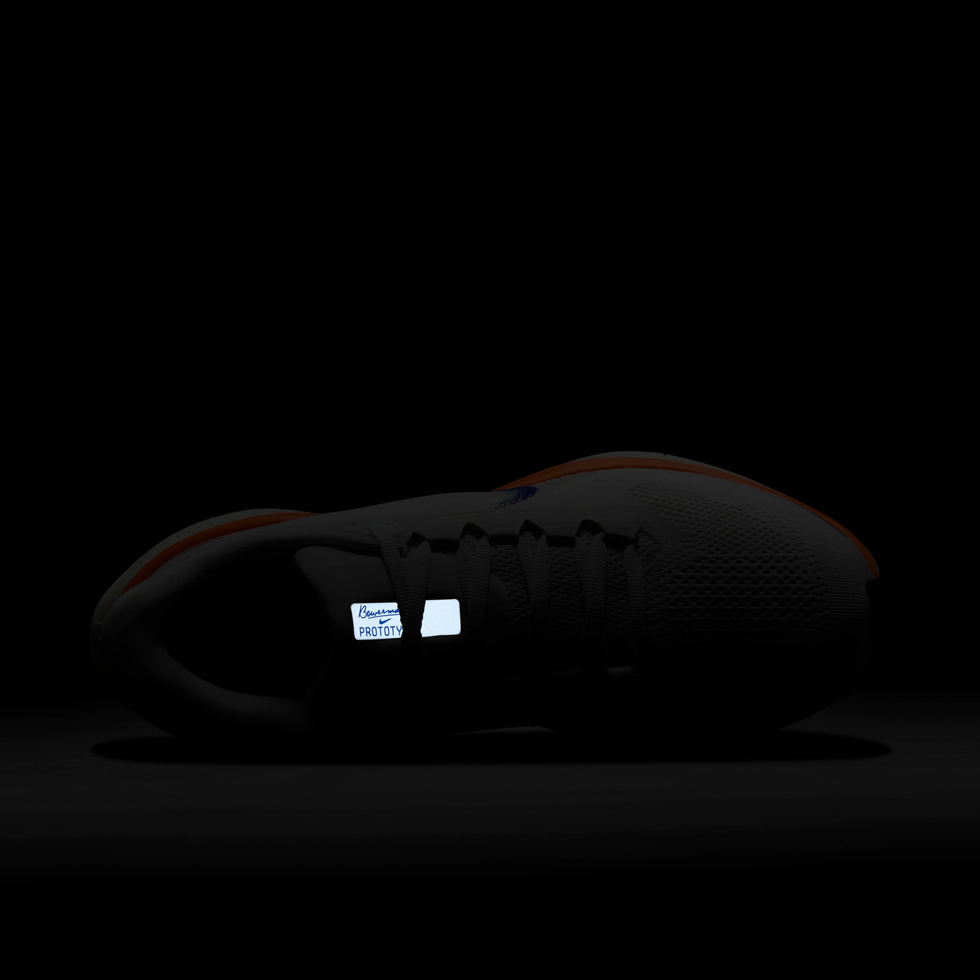 نايكي بيجاسوس 41 بلوبرينت image number 9