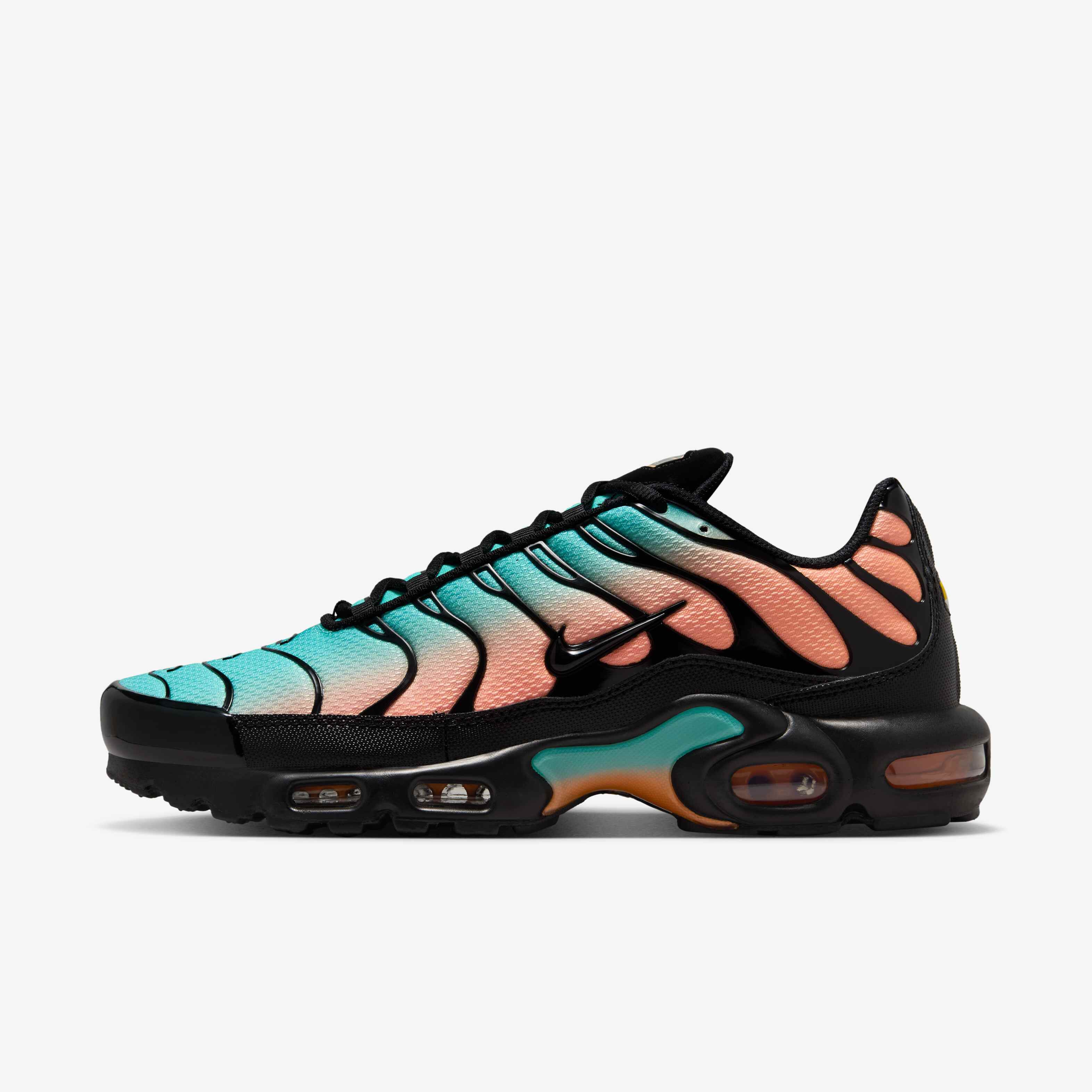 orange and black tn