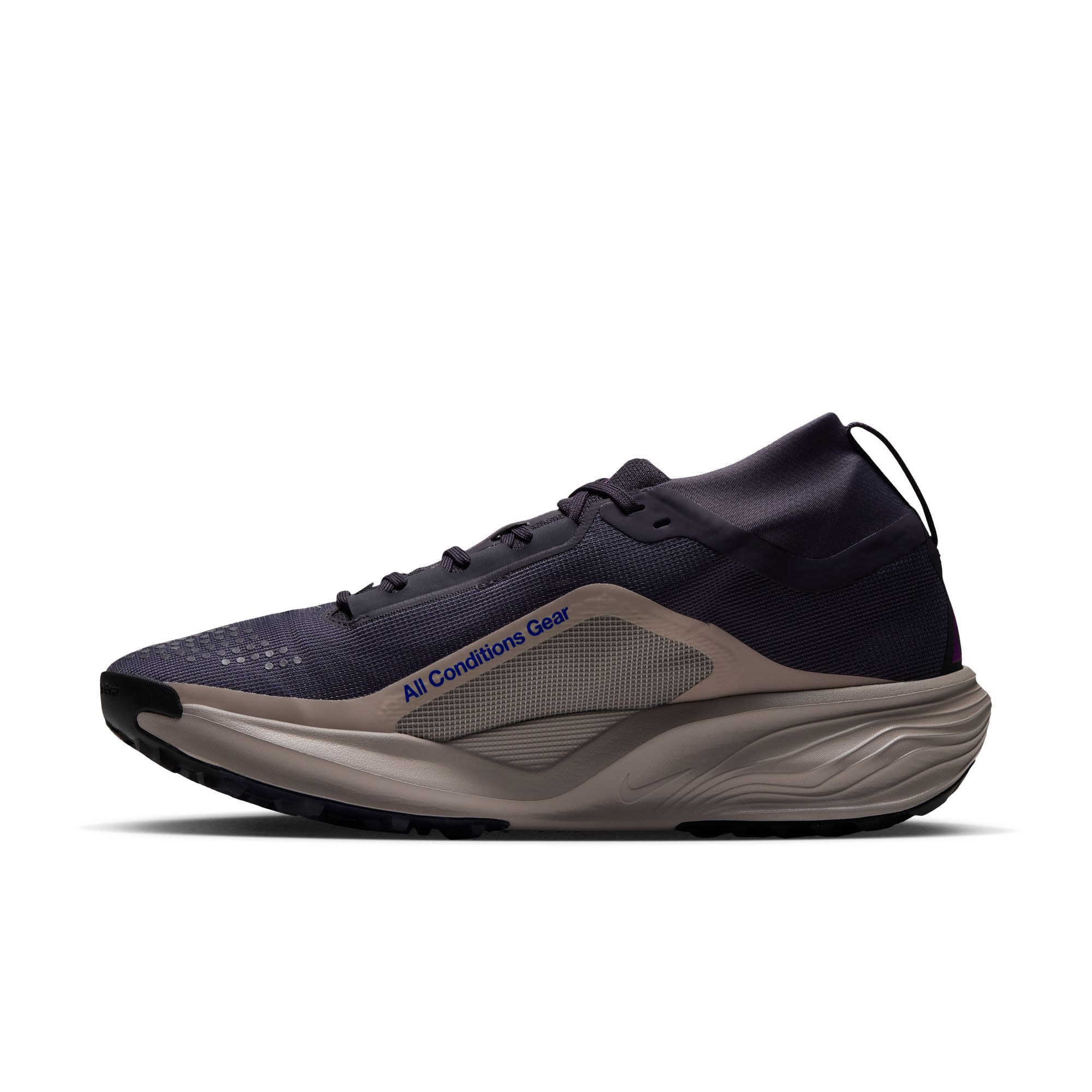 ACG بيجاسوس تريل GORE-TEX image number 4