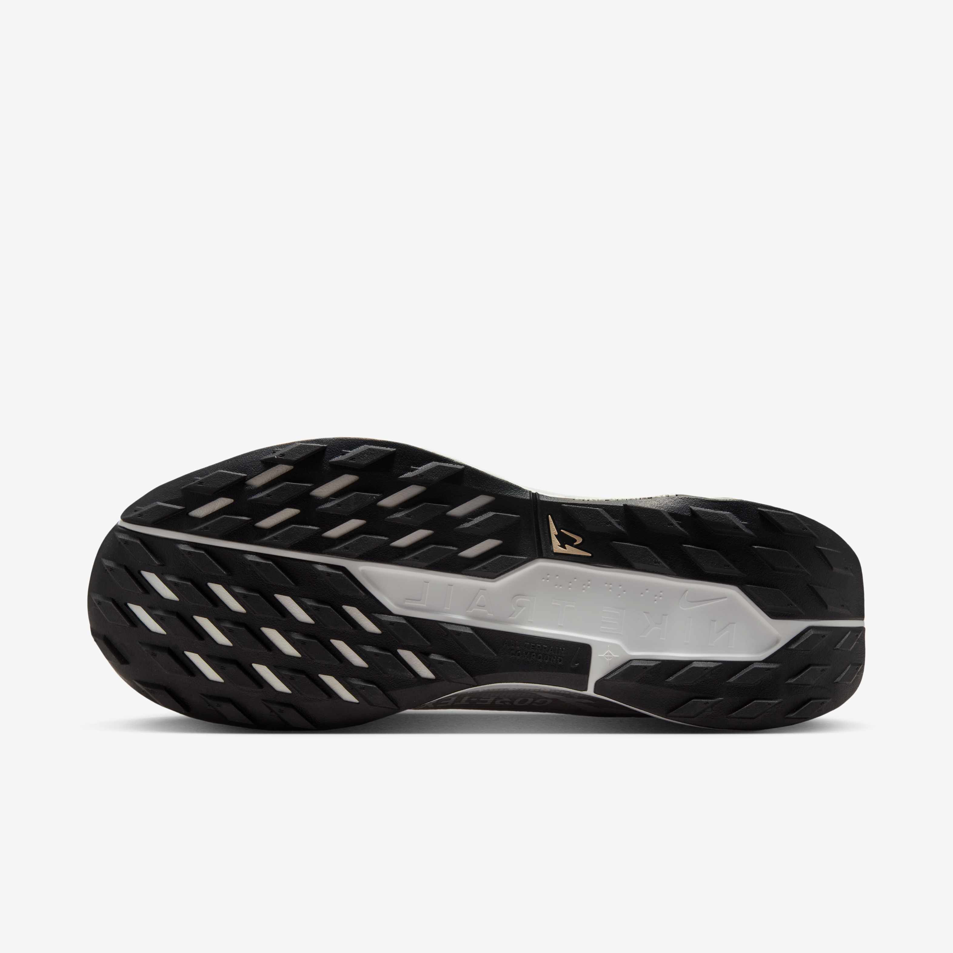 Nike Pegasus Trail 5 GORE-TEX image number 1