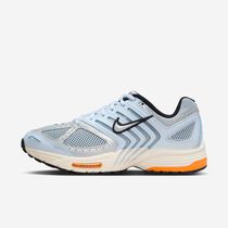 Nike Air Pegasus 2005