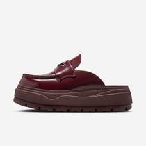 اير جوردن ميول