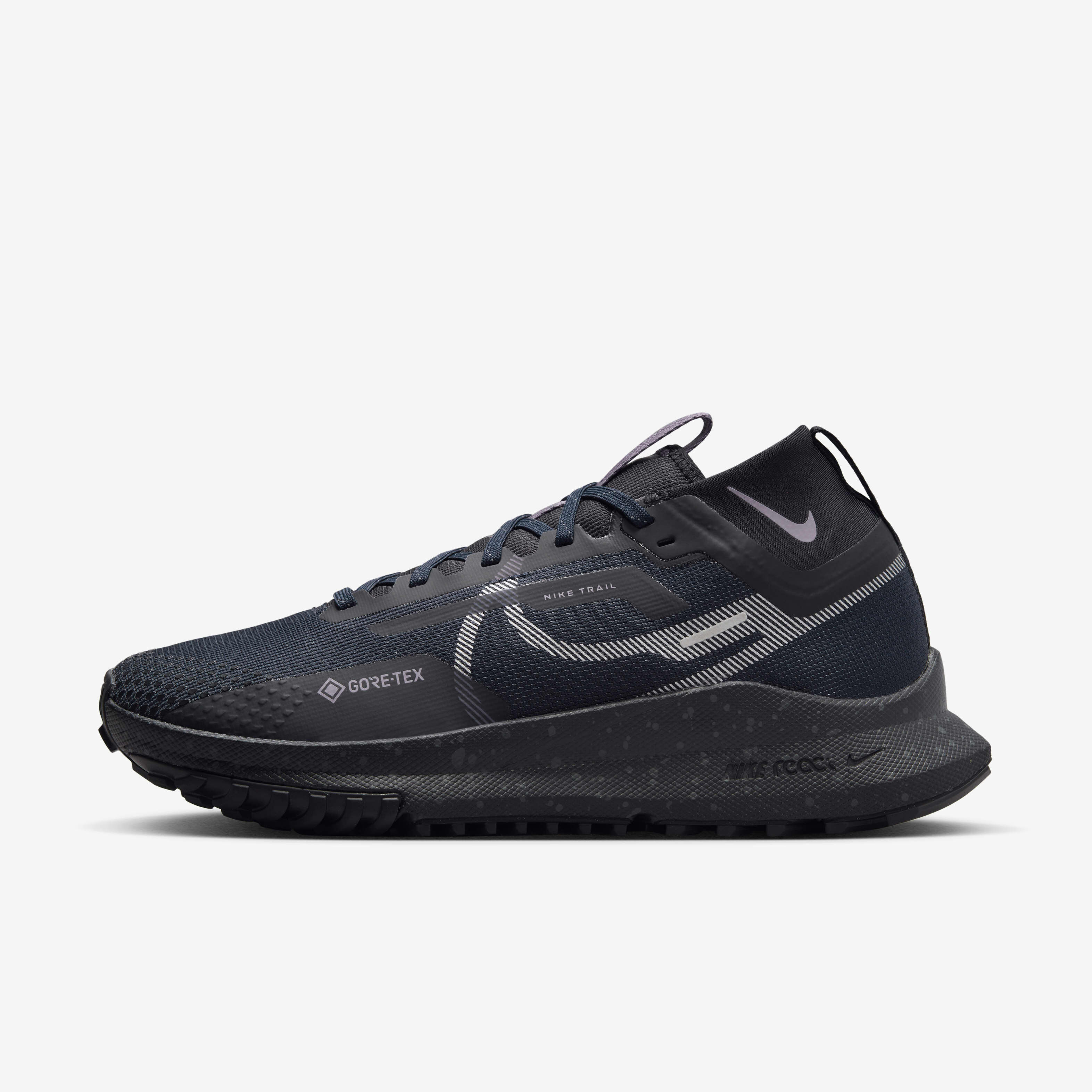Nike Pegasus Trail 4 GORE-TEX image number 0