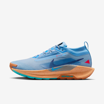 Nike Pegasus Trail 5 GORE-TEX