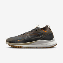 Nike Pegasus Trail 4 GORE-TEX