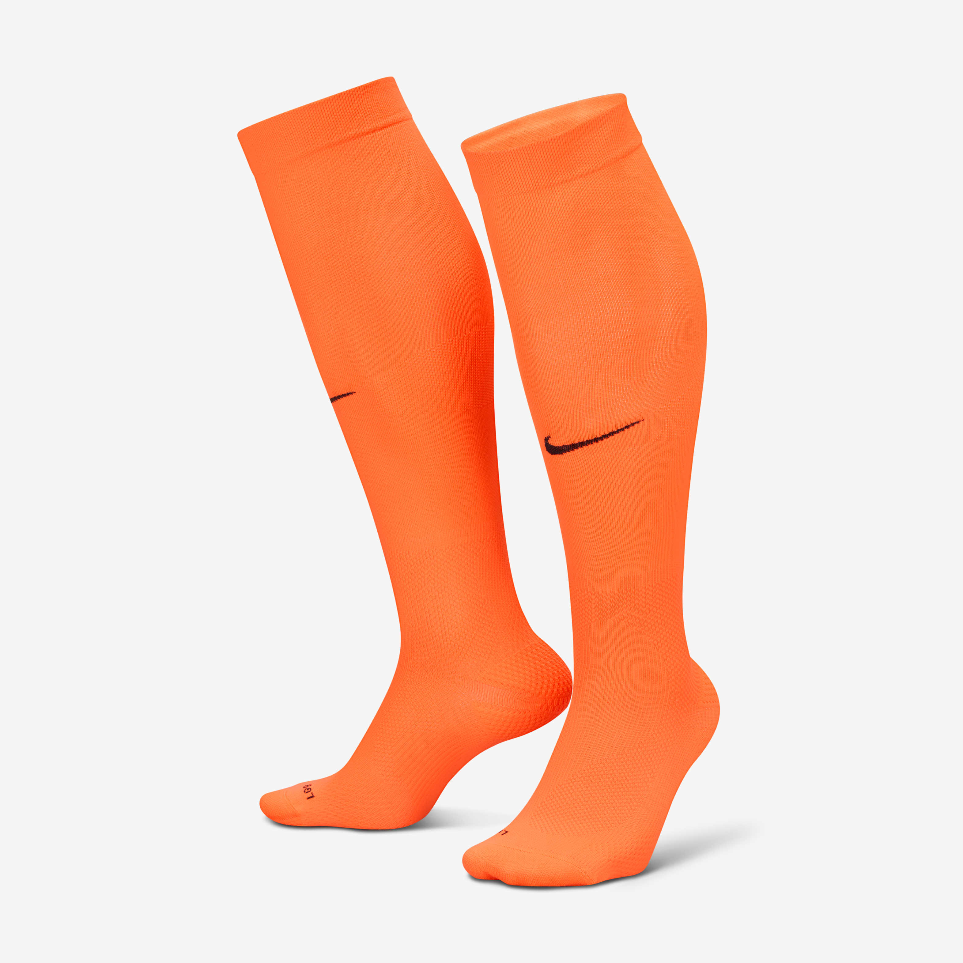 هولندا فيبورفاست الأساسي image number 0