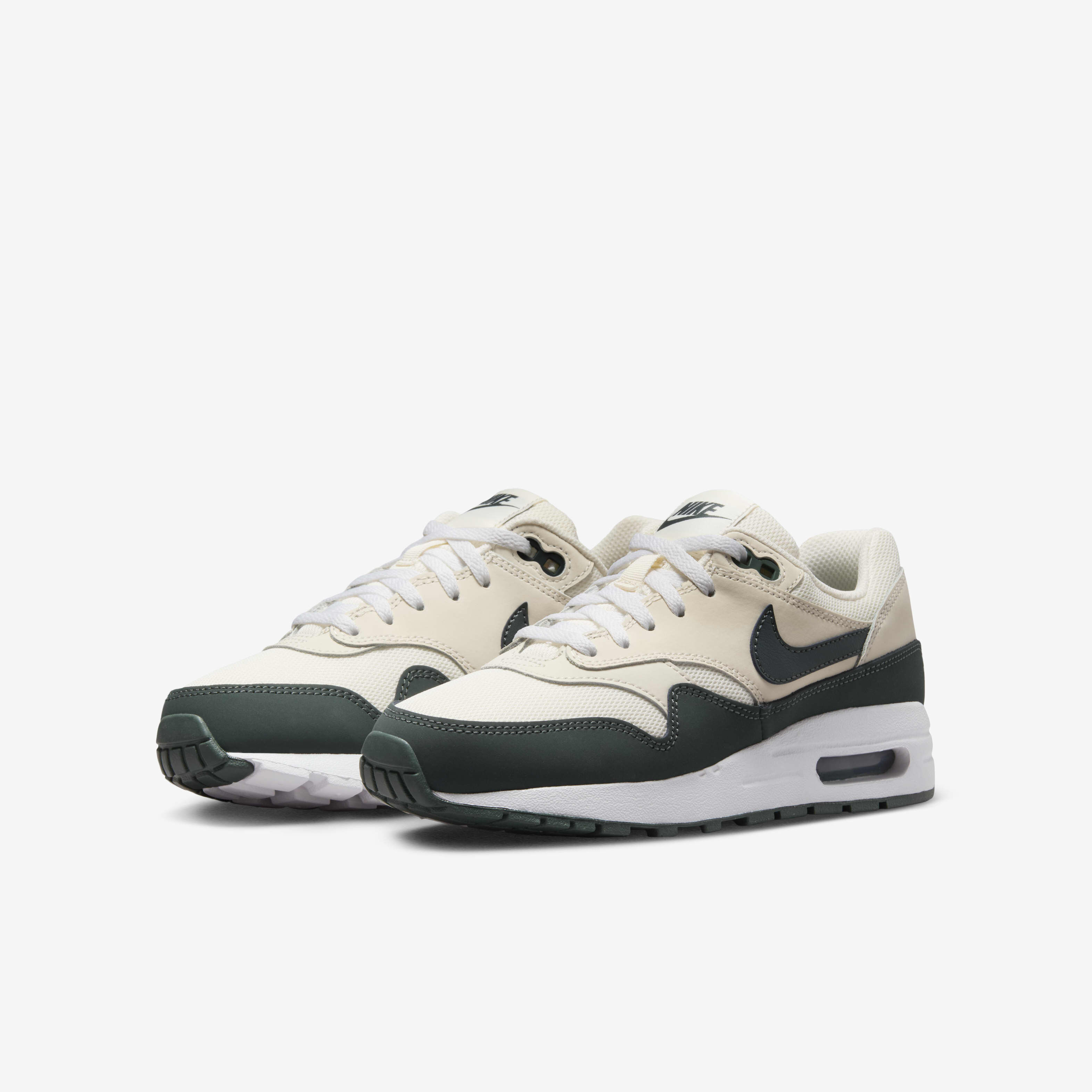 Air max 1 sail black fossil 2025
