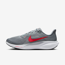 Nike Pegasus 41