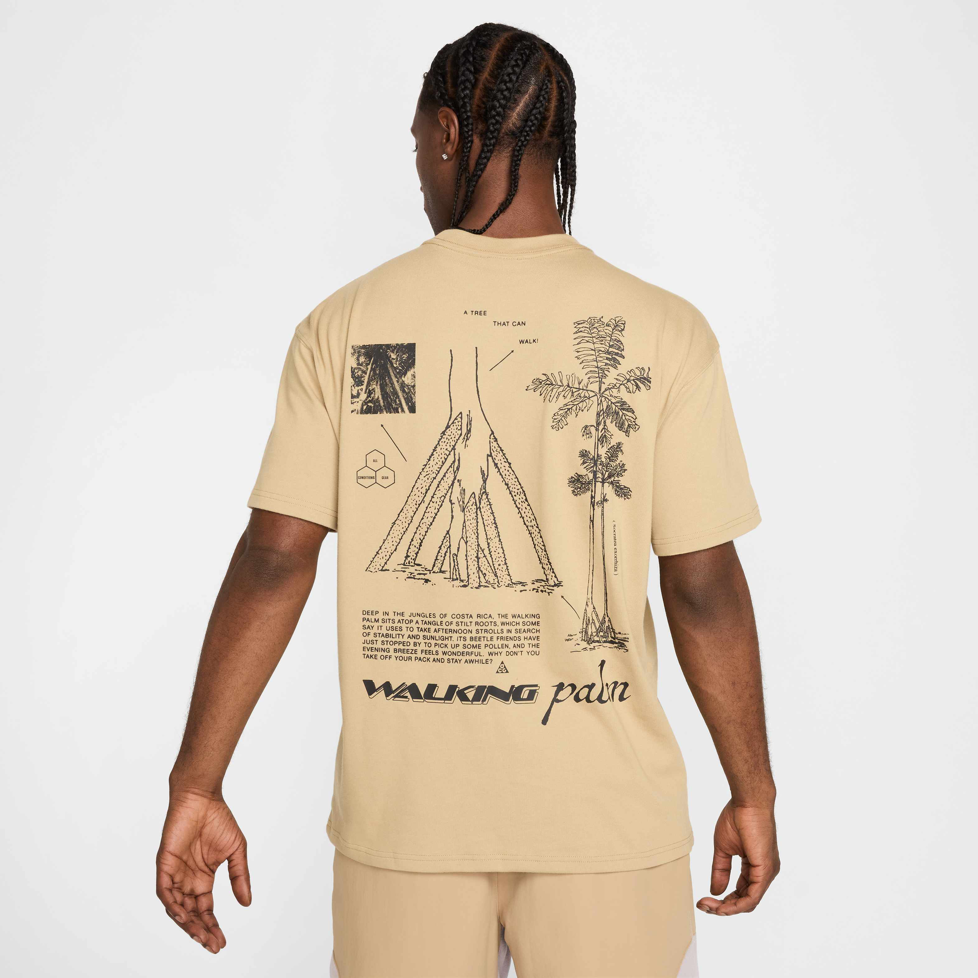★Nike★ ACG Walking Tree Dry Fit T-Shirt M Parachute Beige Nike ACG 