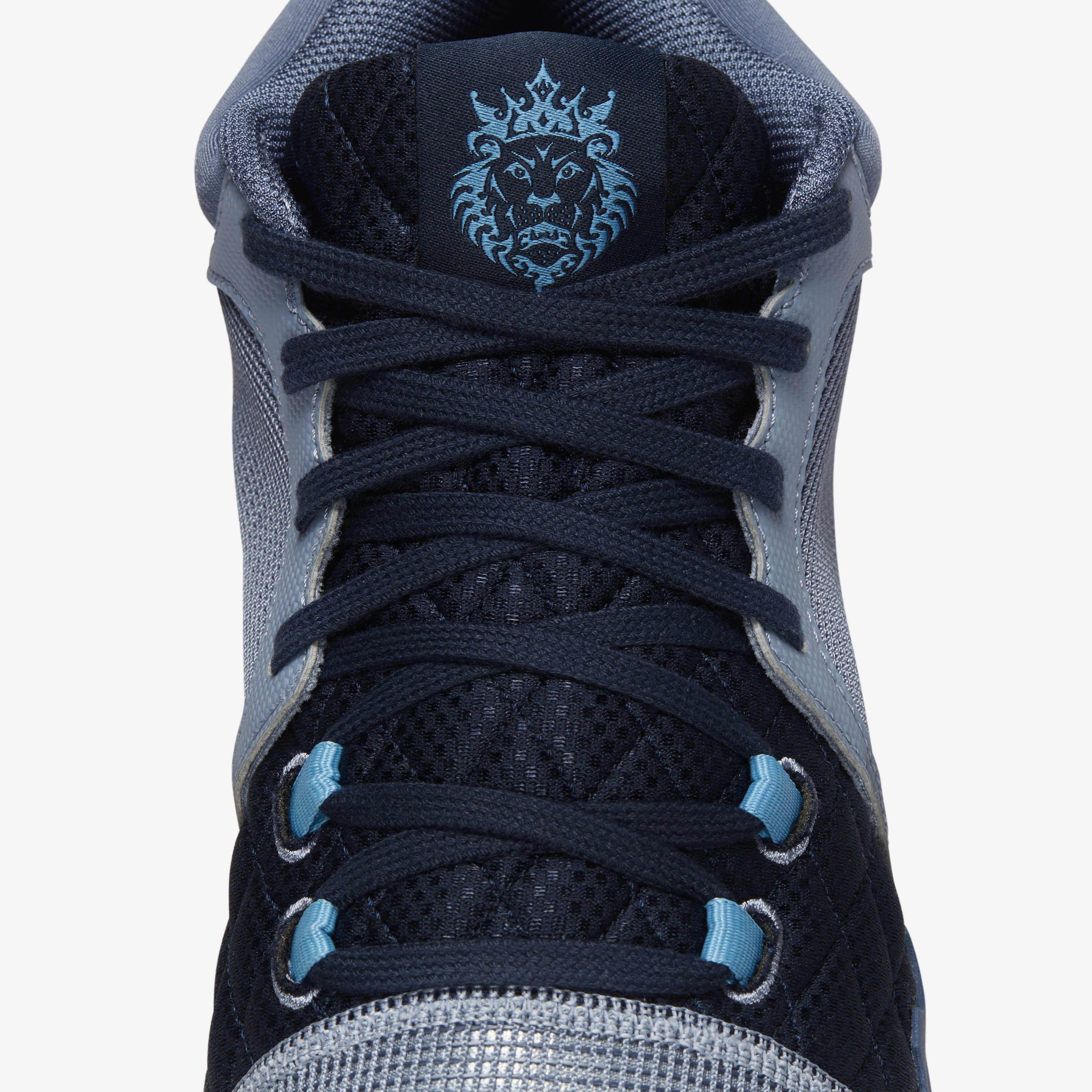 ليبرون ويتنس 8 image number 8