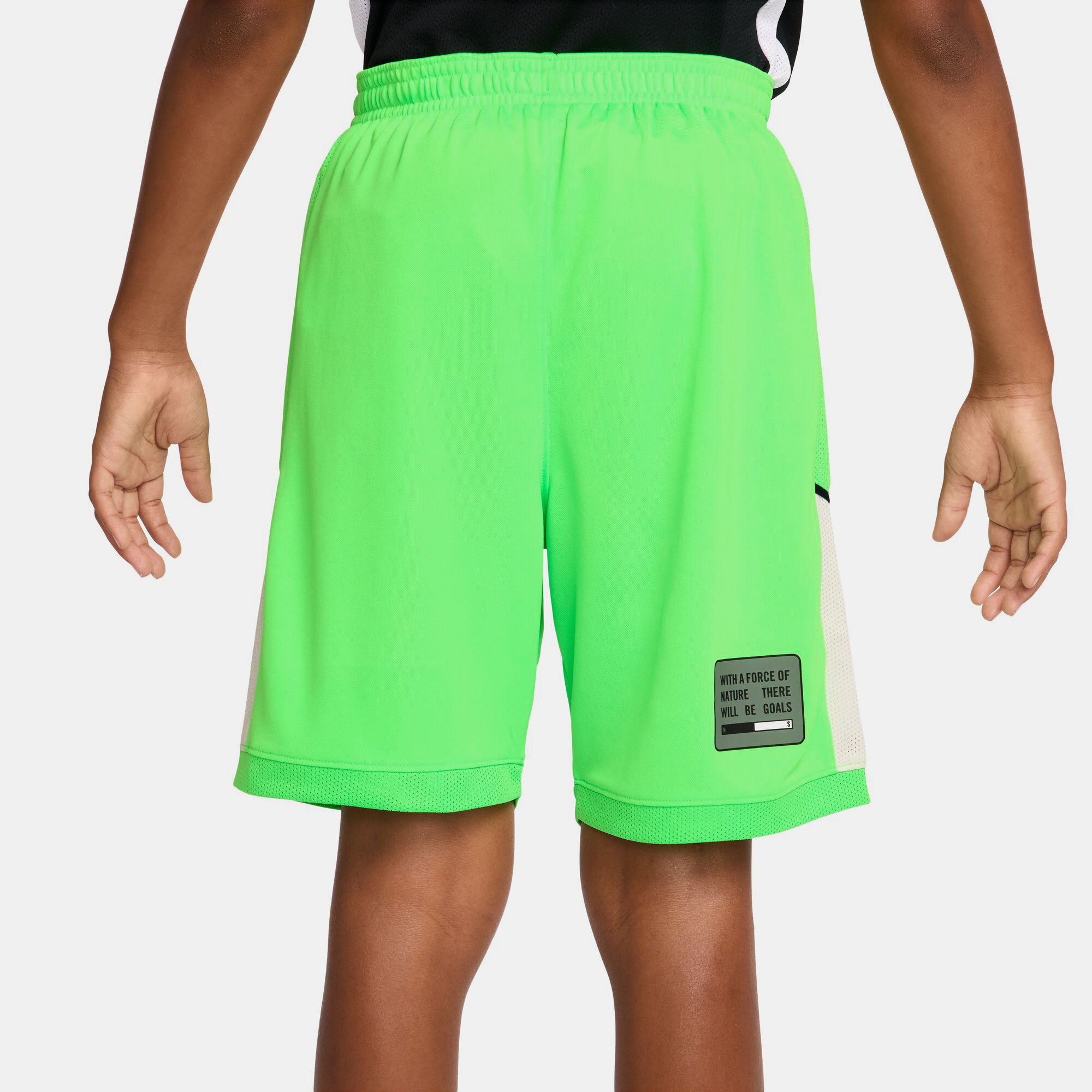 Erling Haaland Academy image number 1