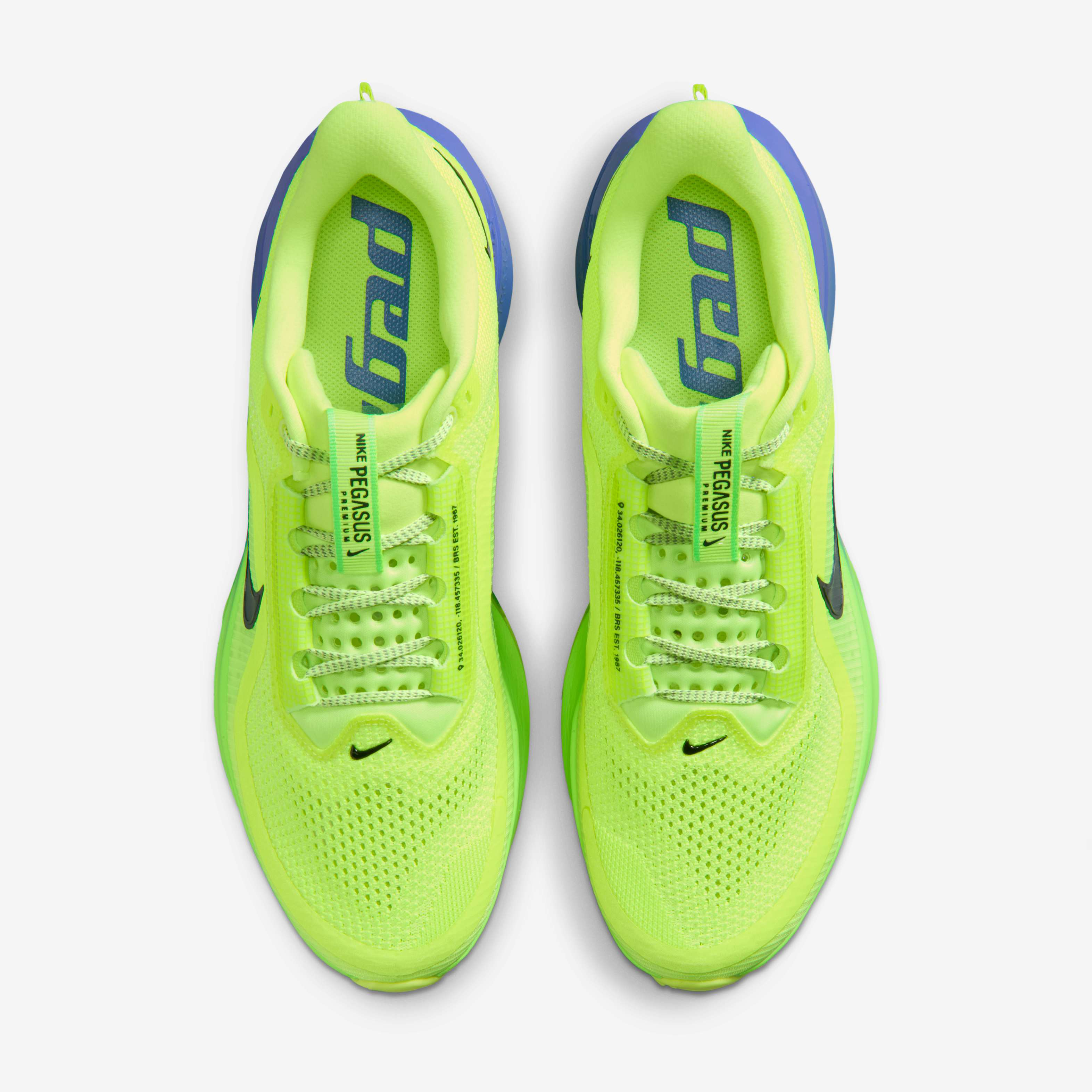 Nike Pegasus Premium image number 3