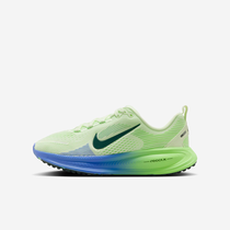 Nike Vomero 18