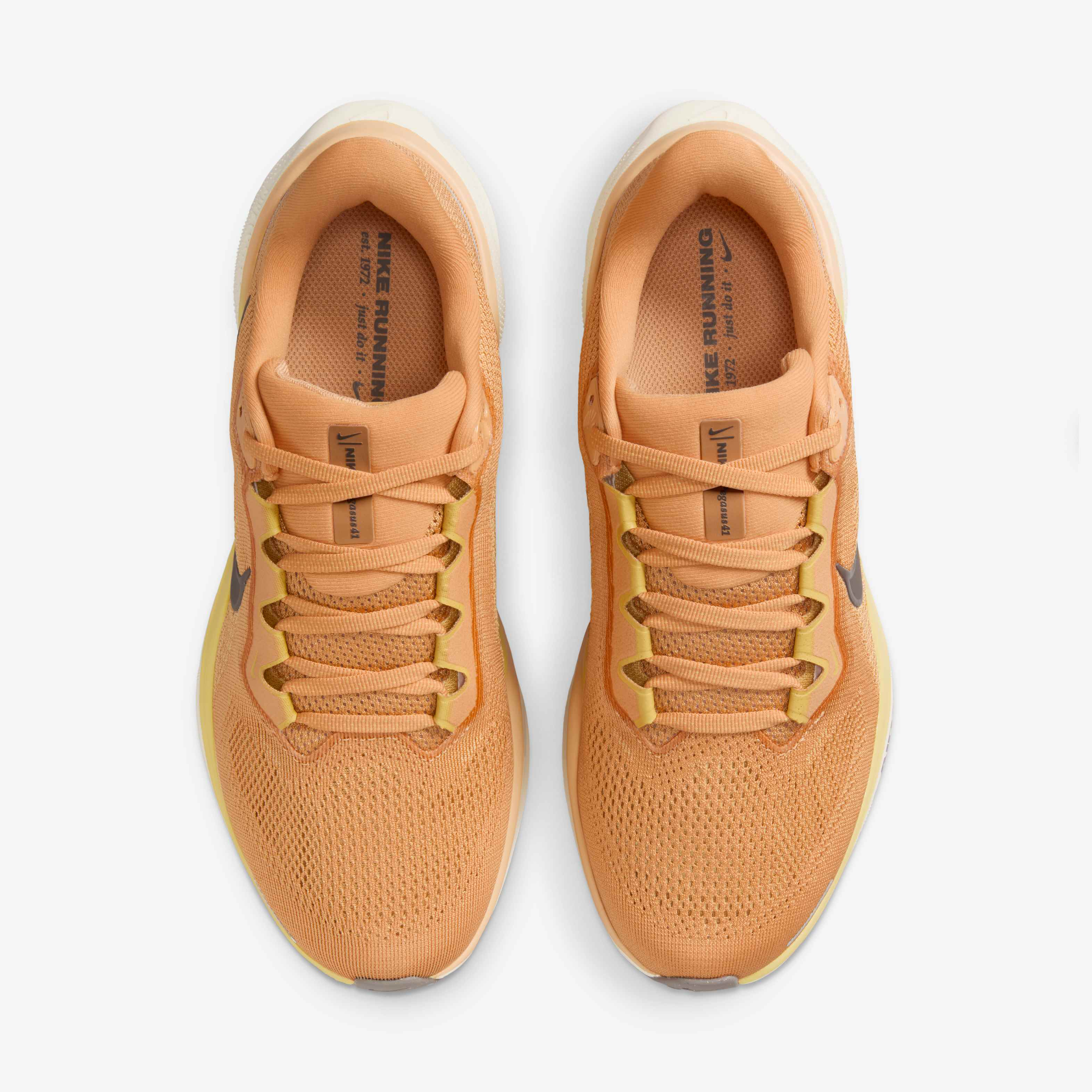 نايكي بيجاسوس 41 image number 3