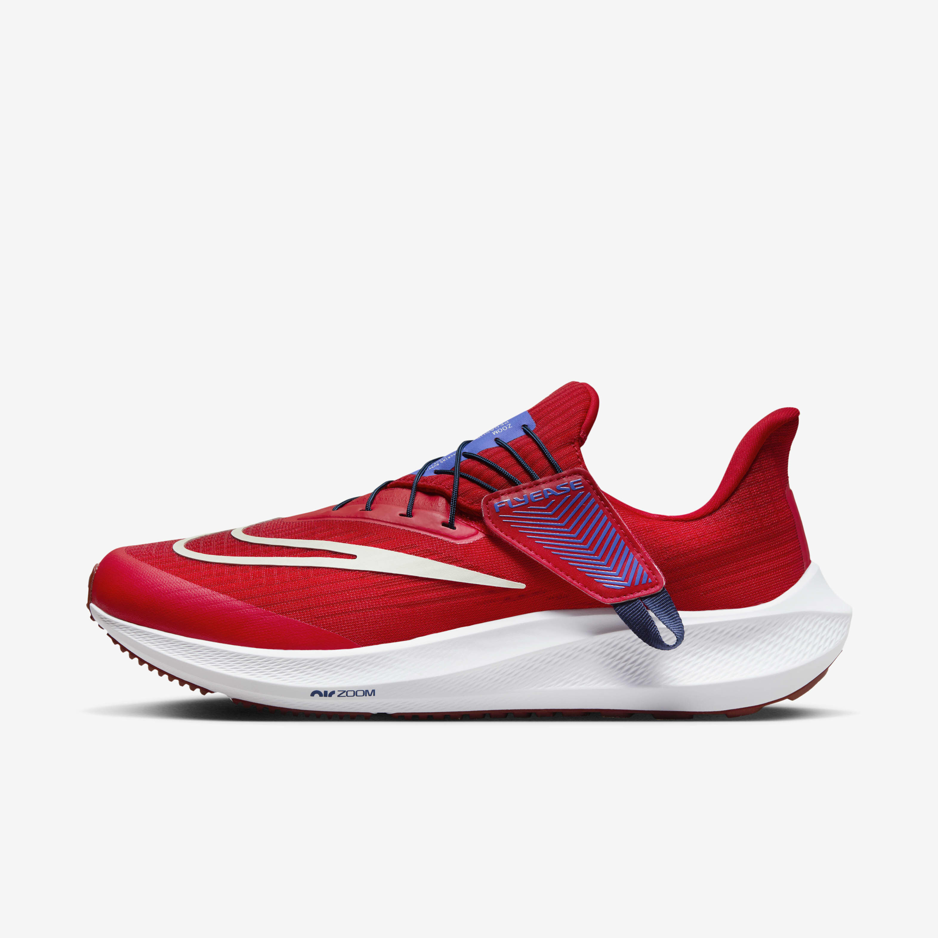 Nike Pegasus FlyEase image number 0