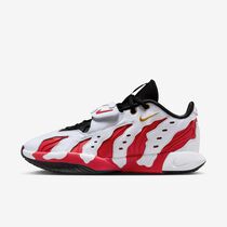 LeBron XXI