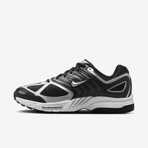 Nike Air Pegasus 2005