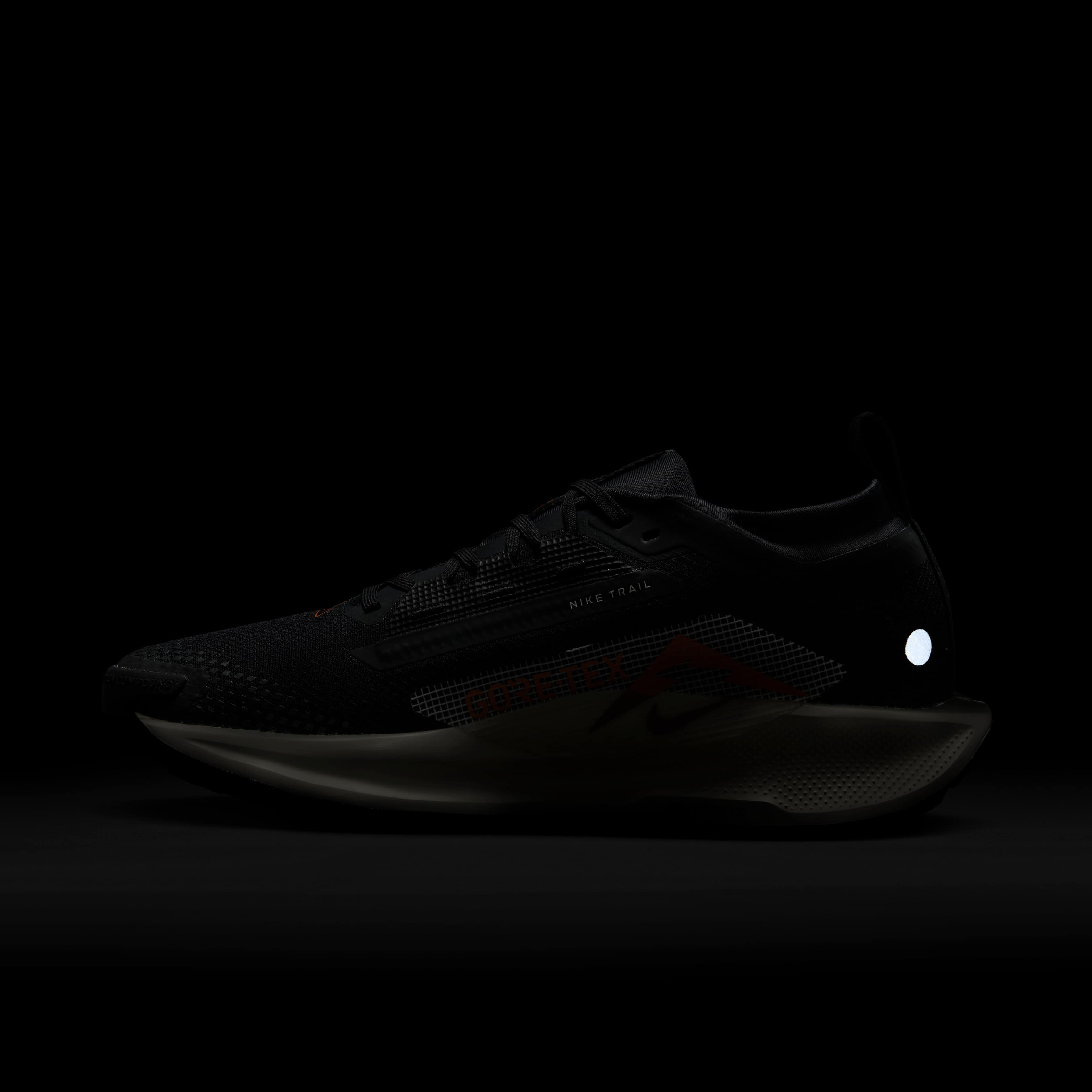 Nike Pegasus Trail 5 GORE-TEX image number 9