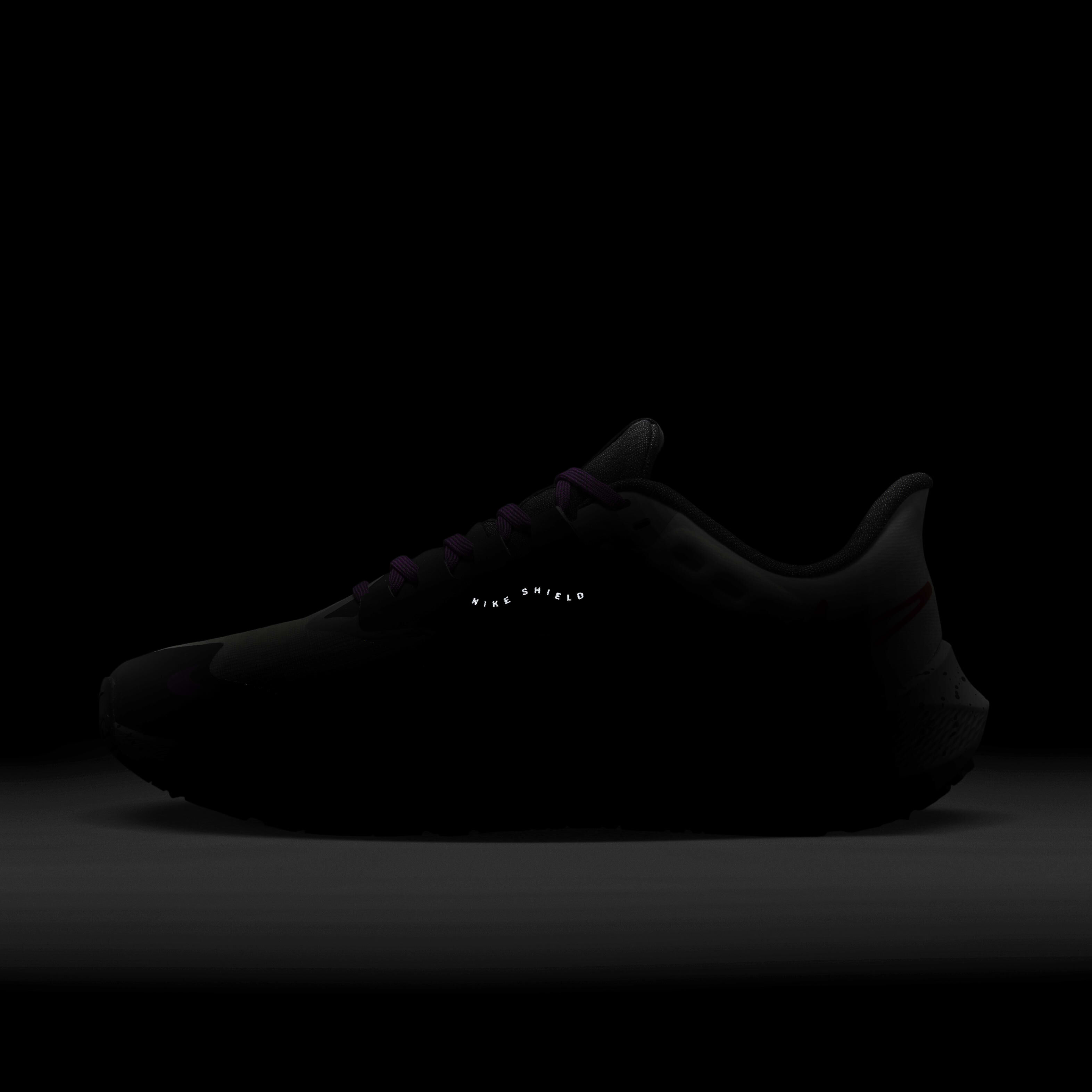 Nike Pegasus 39 Shield image number 9