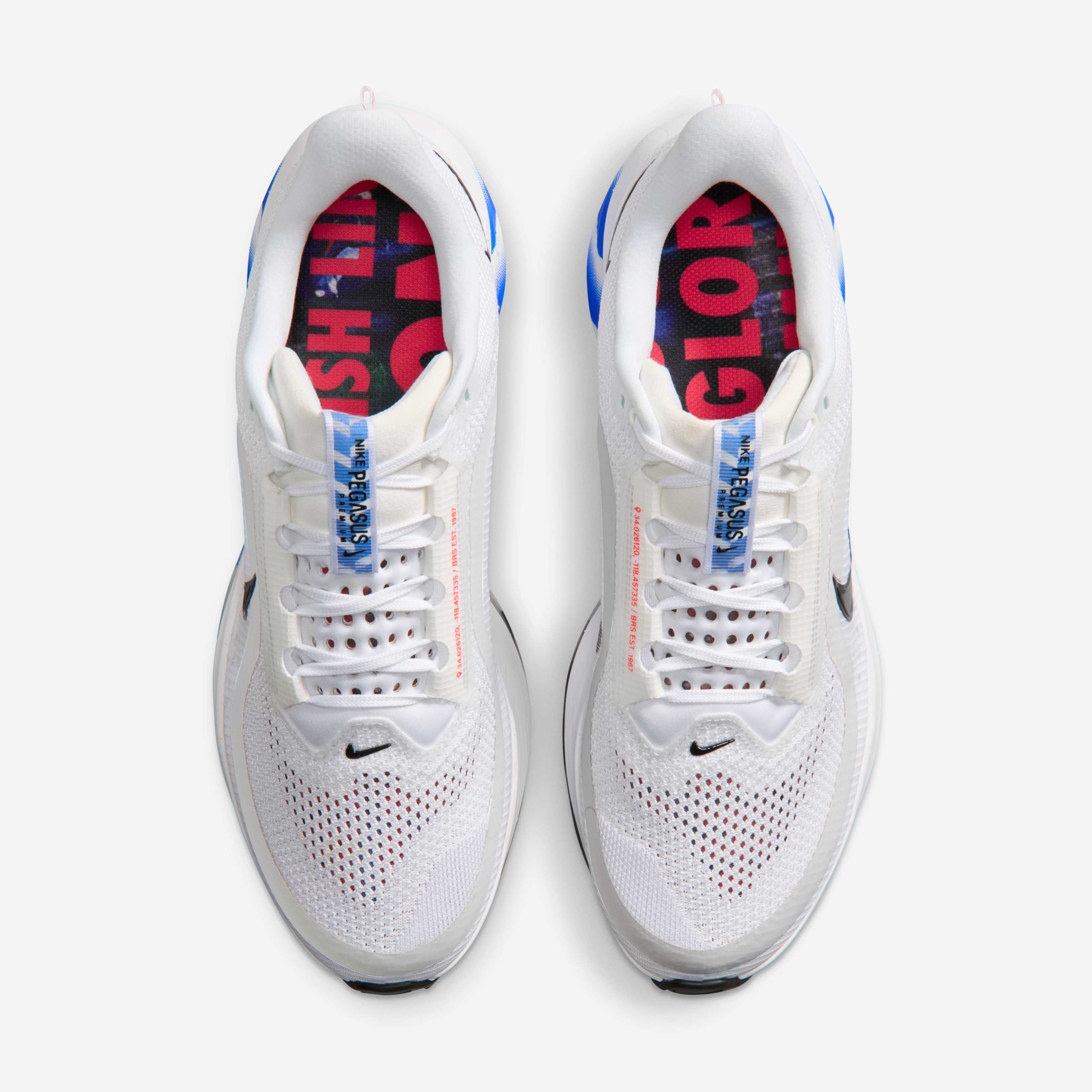 Nike Pegasus Premium image number 3