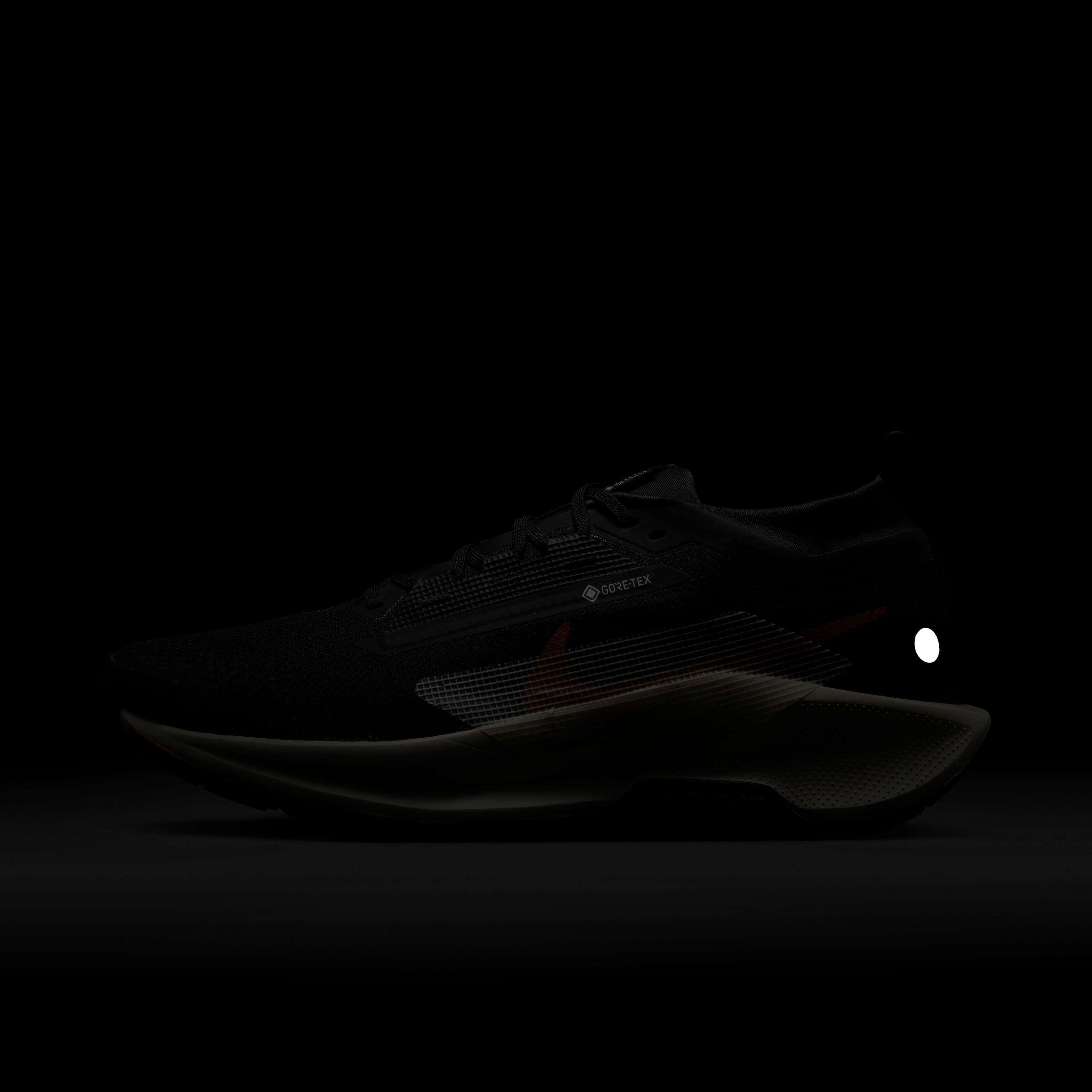 نايكي بيجاسوس تريل 5 جور-تكس image number 9