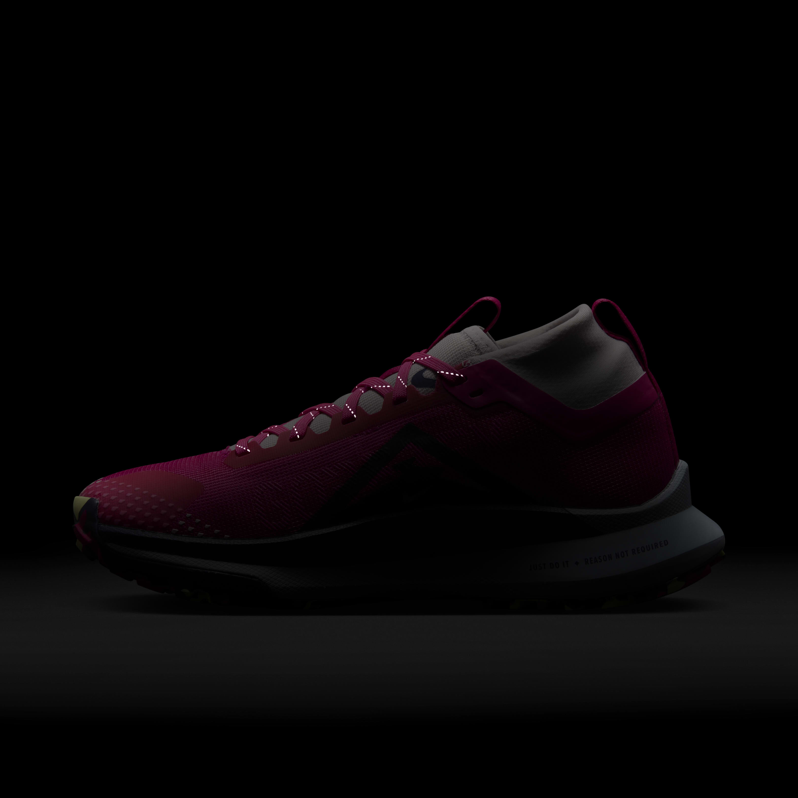 Nike Pegasus Trail 4 GORE-TEX image number 10