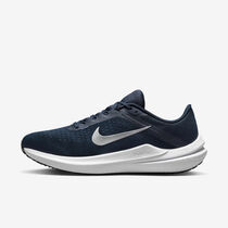 Nike Winflo 10