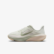 نايكي بيجاسوس 42