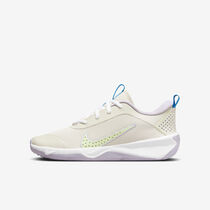 Nike Omni Multi-Court