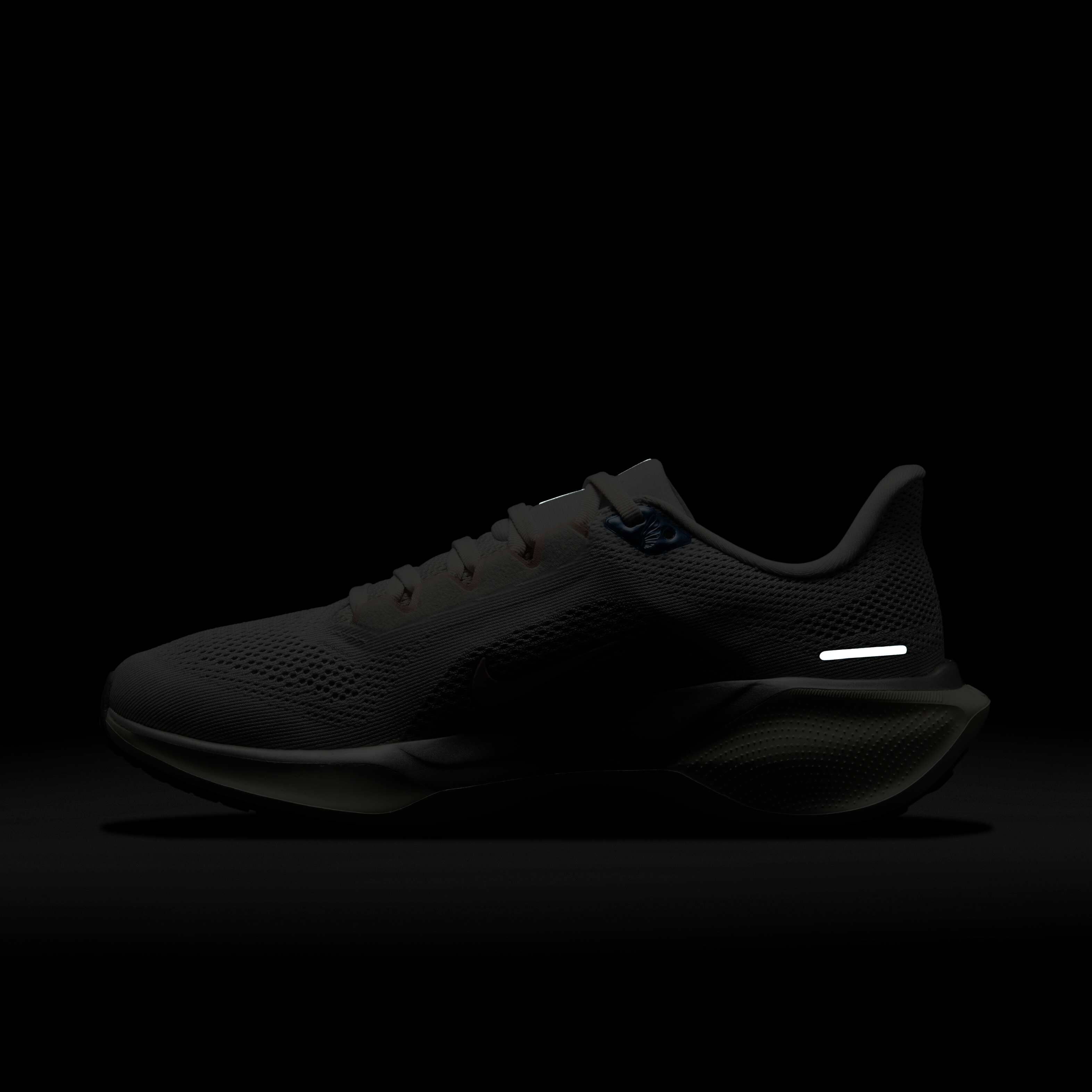 Nike Pegasus 41 image number 10