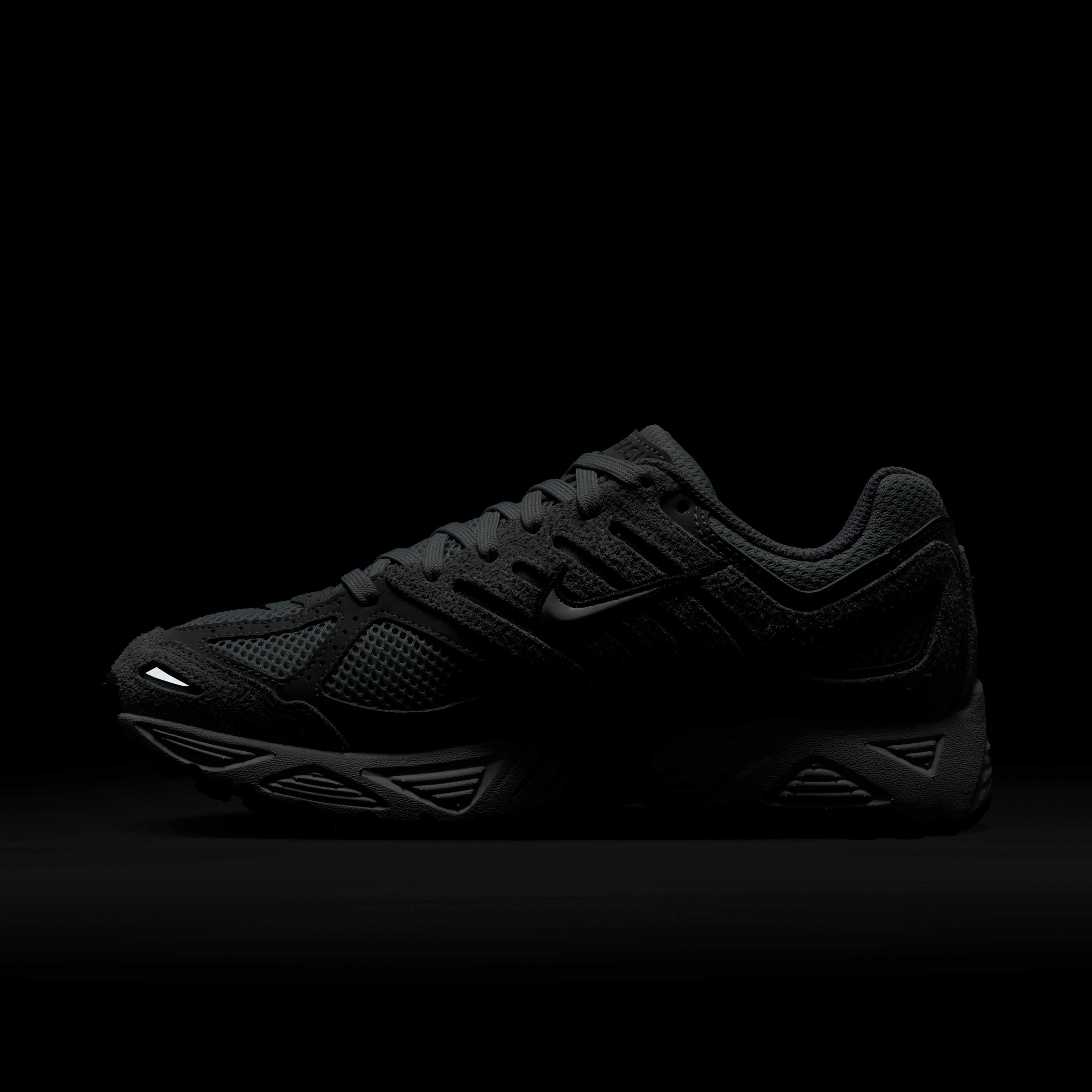 نايكي اير بيجاسوس 2005 image number 11