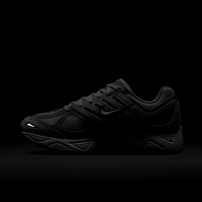 نايكي اير بيجاسوس 2005 image number 11 نايكي اير بيجاسوس 2005 image number 11