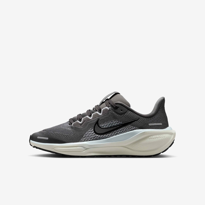 Nike Pegasus 41 image number 0 Nike Pegasus 41 image number 0