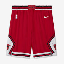 Chicago Bulls Icon Edition
