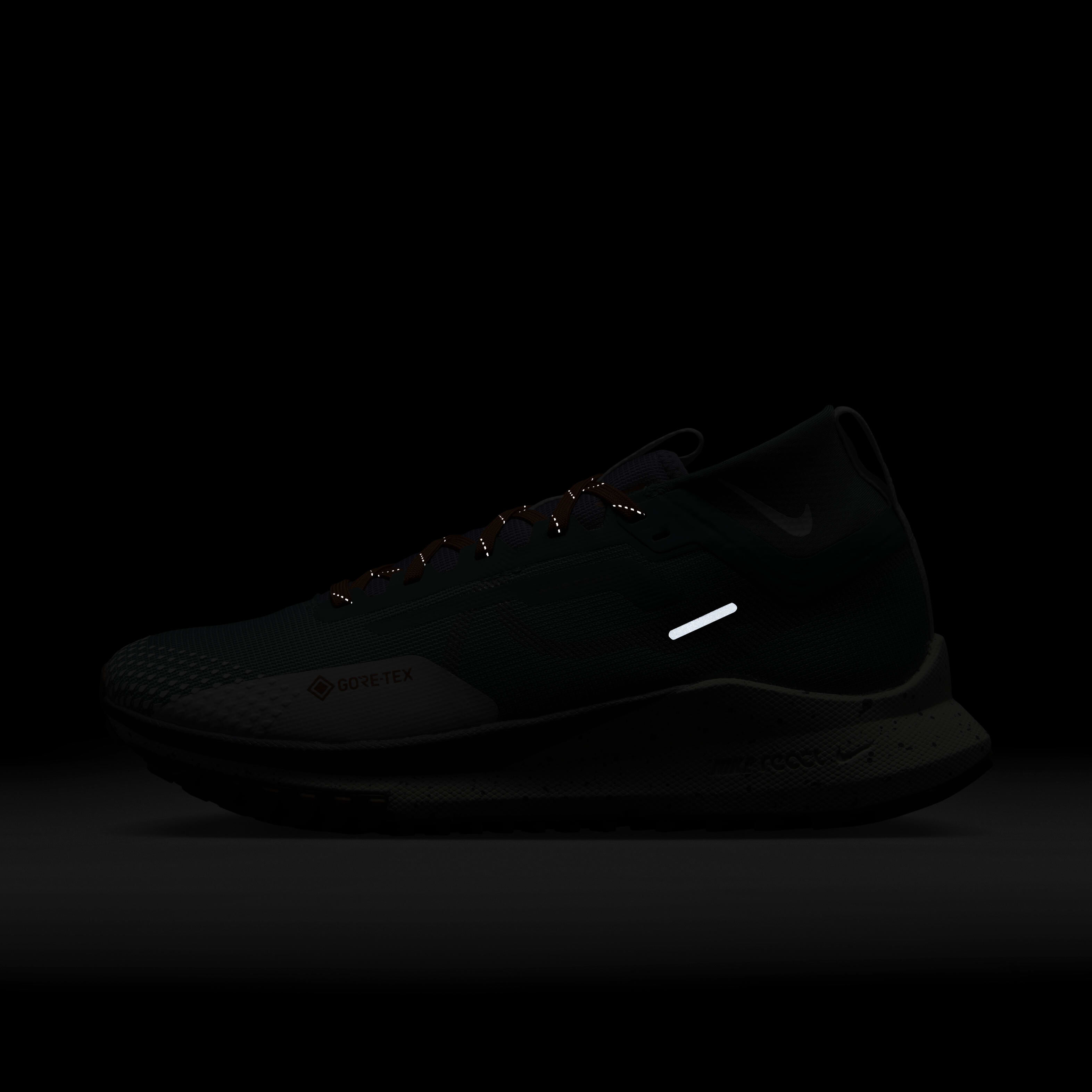 Nike Pegasus Trail 4 GORE-TEX image number 8