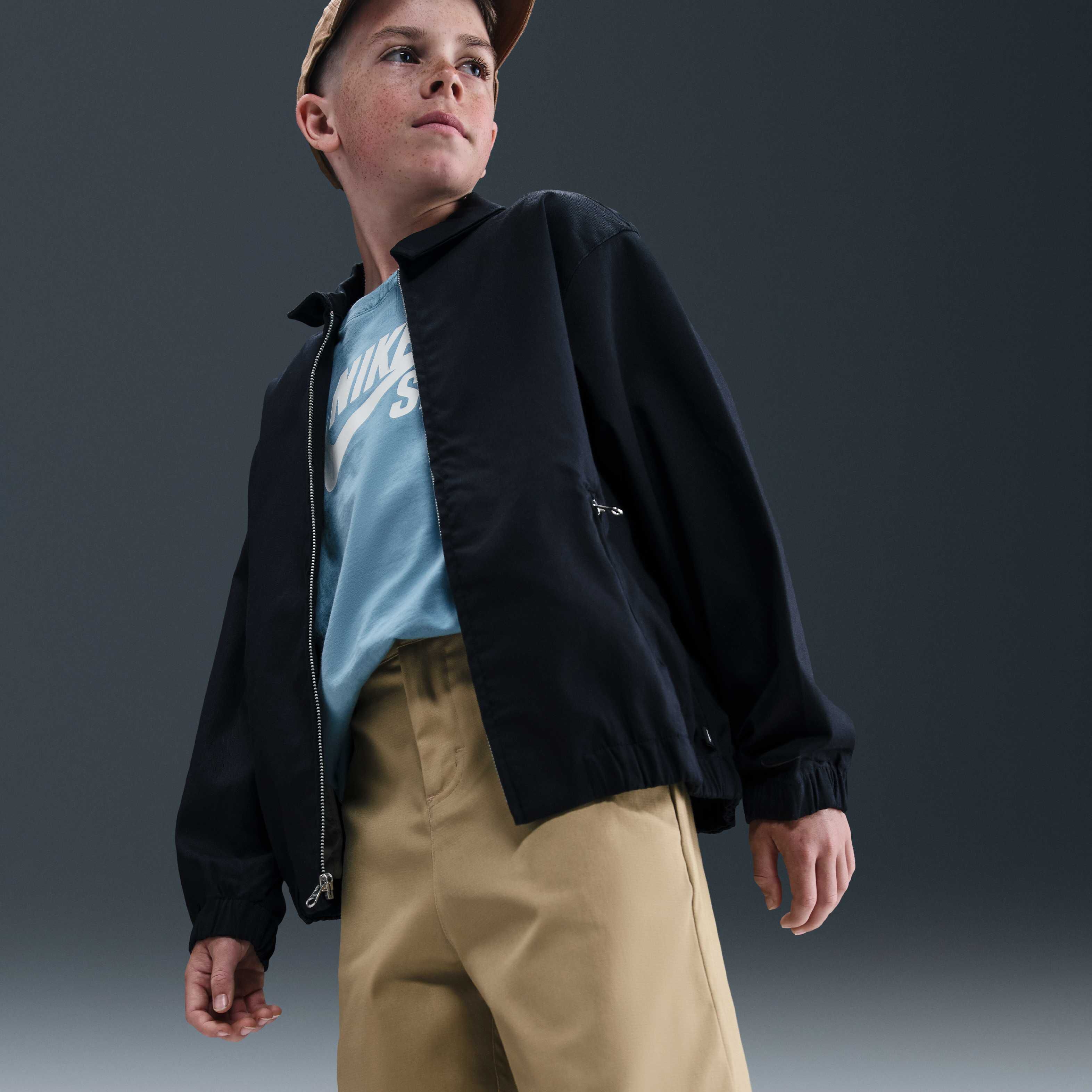 نايكي SB image number 4