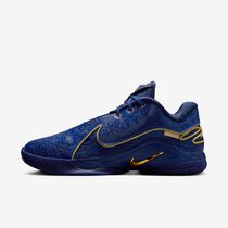 LeBron XXII